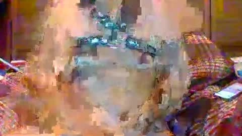 NSAPiigForBreeding online show from April 22, 2026, 4:26 am