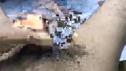 bd_sam_69 online show from November 2, 2025, 9:50 pm