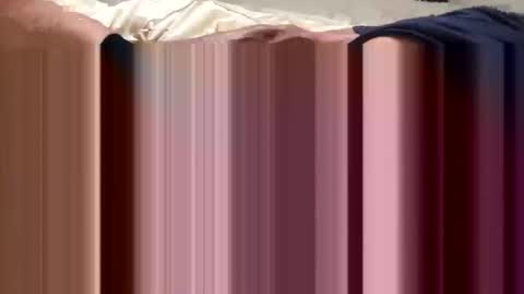 Snapshot of beachguy469 chatting on September 28, 2025, 2:55 pm BeachGuy online show from September 28, 2025, 2:55 pm