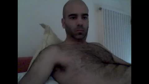 bear14250949 online show from October 19, 2025, 9:10 am