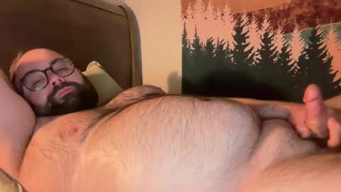 bear_country online show from February 25, 2025, 2:03 am