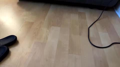 beard online show from December 6, 2024, 7:54 am