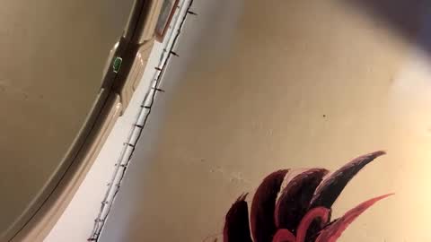 Mikes room online show from April 2, 2026, 9:56 pm