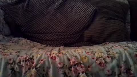 beatlebut online show from October 16, 2025, 3:18 am