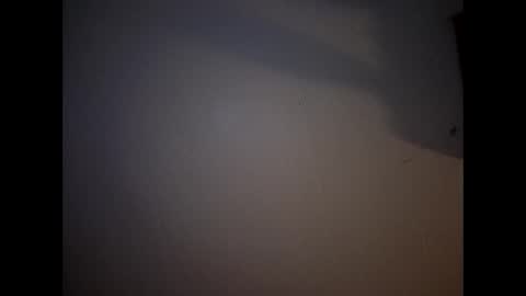 bee69239900 online show from June 7, 2026, 9:46 am