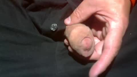  Reservoir Dogs online show from November 2, 2025, 1:41 am