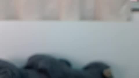 Snapshot of bellacrystall chatting on June 21, 2026, 8:06 am bellacrystall online show from June 21, 2026, 8:06 am