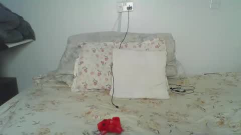 Snapshot of bellah8 chatting on February 24, 2026, 5:49 am bellah online show from February 24, 2026, 5:49 am