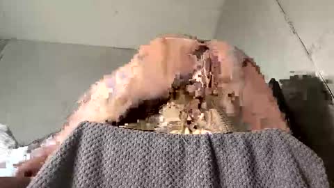 Snapshot of bemysecrett chatting on May 10, 2026, 10:04 pm bemysecrett online show from May 10, 2026, 10:04 pm
