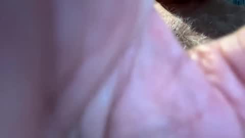 Snapshot of benz10001 chatting on September 13, 2025, 12:49 pm benz10001 online show from September 13, 2025, 12:49 pm