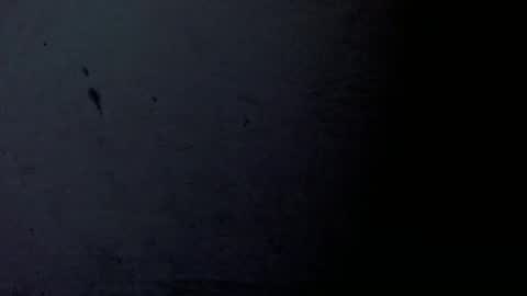 Bergon77 online show from January 24, 2025, 9:15 pm