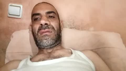 Cock arabic Authentic online show from June 15, 2026, 8:05 am