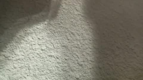 Bigfish123 online show from March 12, 2025, 4:41 am