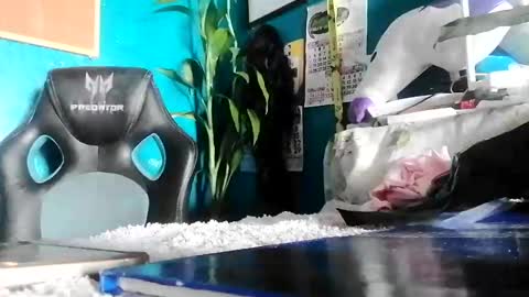 Snapshot of bheb_ji chatting on February 15, 2026, 6:10 am bheb_ji online show from February 15, 2026, 6:10 am