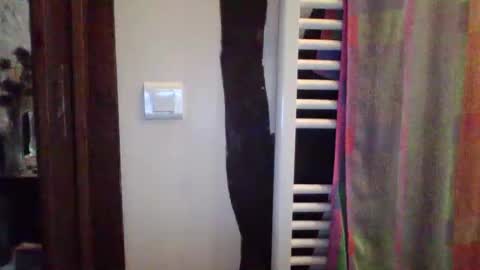 bibipheuck online show from February 4, 2026, 8:53 am