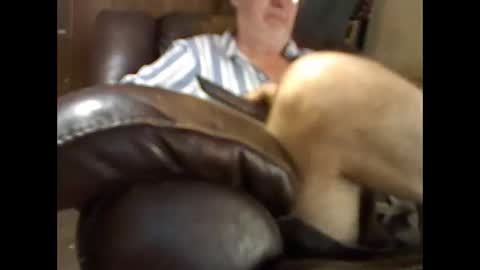 BB online show from November 26, 2025, 4:41 pm