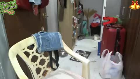 Snapshot of bigboobslyn chatting on December 17, 2025, 6:19 am bigboobslyn online show from December 17, 2025, 6:19 am