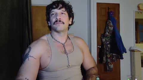 BigBro online show from December 20, 2024, 10:00 pm