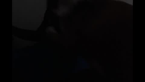 Bryson online show from April 19, 2026, 6:10 pm