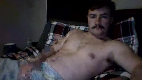 bigcock627447 online show from February 17, 2026, 12:29 am