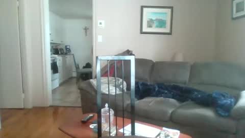 bigdeer581917471 online show from February 2, 2025, 5:48 pm