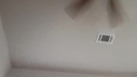 bigdickdaddy3200798456 online show from May 24, 2026, 9:42 pm