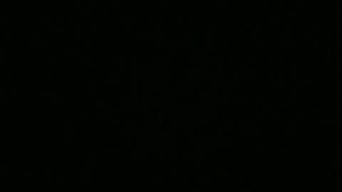 Snapshot of bigdickfitdude34 chatting on September 14, 2025, 12:54 am bigdickfitdude34 online show from September 14, 2025, 12:54 am