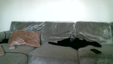 Snapshot of bigdickjimmywill chatting on February 15, 2025, 5:39 pm CAJEinc online show from February 15, 2025, 5:39 pm