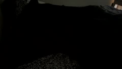 bigdickpapishampoo online show from December 1, 2025, 2:00 pm