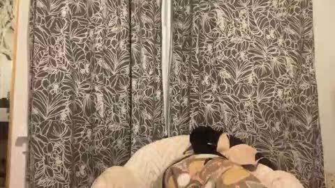 bigdickwalkin online show from February 15, 2026, 2:41 am