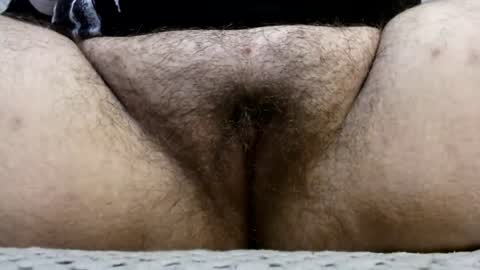 Snapshot of bighairyabby chatting on July 13, 2026, 7:38 pm Abby online show from July 13, 2026, 7:38 pm