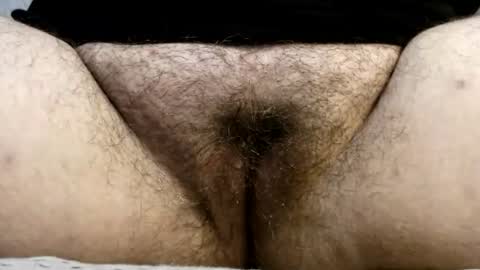 Snapshot of bighairyabby chatting on July 23, 2026, 4:16 pm Abby online show from July 23, 2026, 4:16 pm