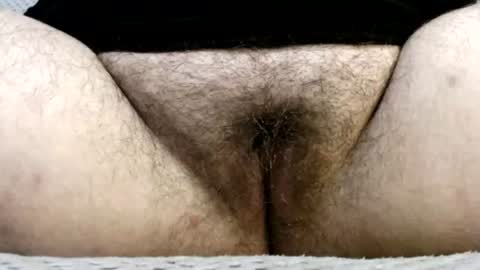 Snapshot of bighairyabby chatting on July 24, 2026, 4:05 pm Abby online show from July 24, 2026, 4:05 pm