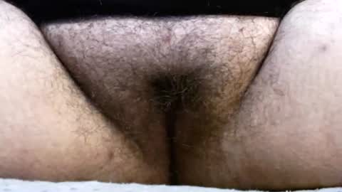 Snapshot of bighairyabby chatting on July 31, 2026, 4:17 pm Abby online show from July 31, 2026, 4:17 pm