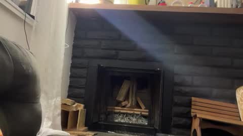 Daniel  Noelia online show from November 17, 2025, 11:38 am