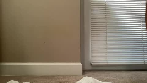 Snapshot of bigjohnsmith5 chatting on February 11, 2025, 9:03 pm bigjohnsmith5 online show from February 11, 2025, 9:03 pm