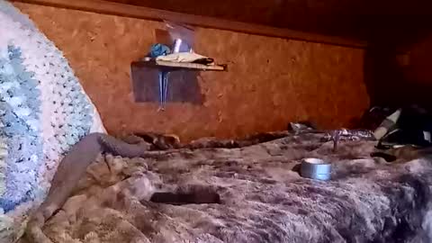 bigmike5081 online show from December 18, 2025, 2:06 am