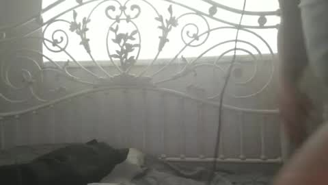 Snapshot of bigprdick101 chatting on February 12, 2025, 2:54 pm bigprdick101 online show from February 12, 2025, 2:54 pm