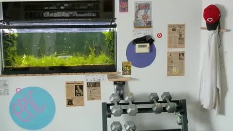 Jarvis online show from February 14, 2025, 3:26 pm