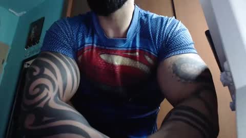 BigStallion online show from November 18, 2025, 11:59 pm