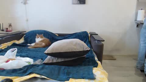 BigTwinsOmg online show from February 20, 2026, 6:26 am