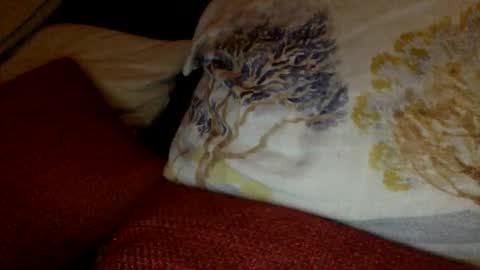 bigvic25cm online show from March 1, 2025, 7:04 pm