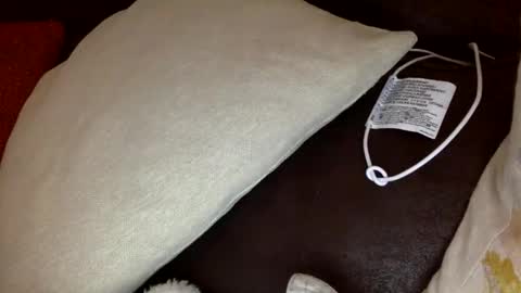 bigvic25cm online show from November 28, 2025, 2:09 pm