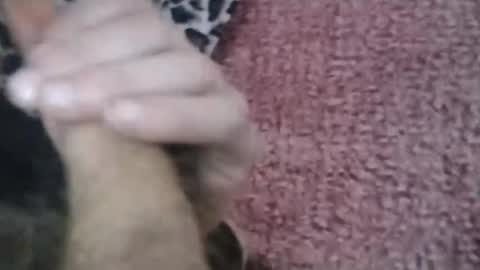 Snapshot of bigwalkdog420 chatting on January 26, 2025, 6:58 pm bigwalkdog420 online show from January 26, 2025, 6:58 pm