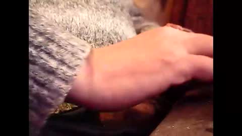 bilco03 online show from November 20, 2025, 2:17 pm