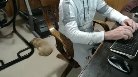 Snapshot of billy471 chatting on January 23, 2025, 10:11 pm billy471 online show from January 23, 2025, 10:11 pm