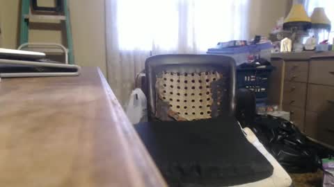 Bimbttm online show from December 20, 2024, 1:00 pm