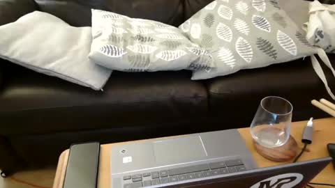 bindmedown online show from February 7, 2025, 11:13 pm