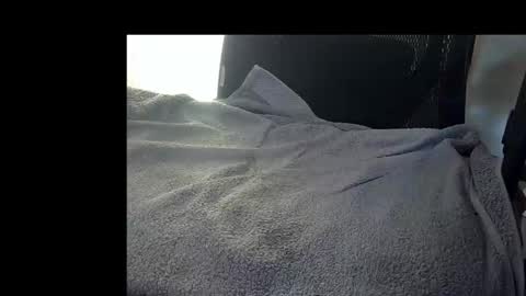 bislider online show from November 12, 2025, 9:10 am