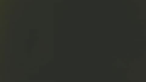 Snapshot of bixbi65 chatting on December 2, 2024, 3:15 am Bill online show from December 2, 2024, 3:15 am